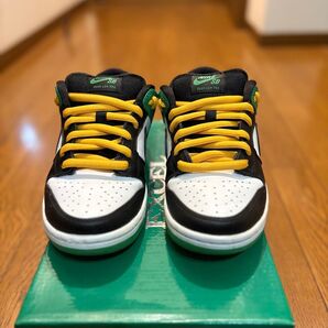 NIKE SB DUNK LOW PRO Classic Green
