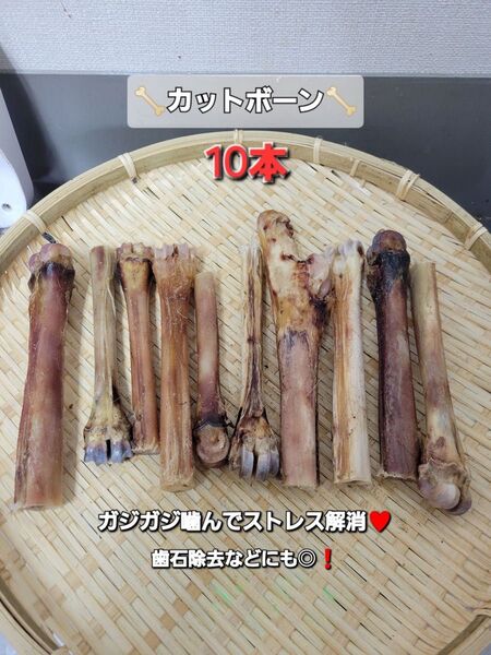 【ガジガジボーン】鹿カットボーン 10本入り 小型犬にも♪ デンタルケア〜