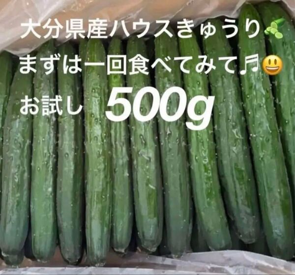 新鮮 大分県産ハウスきゅうり (胡瓜 キュウリ