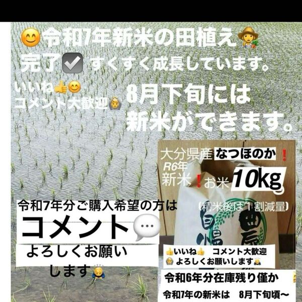 令和6年新米 大分県産なつほのかお米10㎏キロ(精米後9キロ)