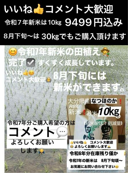 令和6年新米 大分県産なつほのかお米10㎏キロ(精米後9キロ)