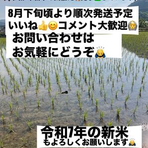 令和6年新米 大分県産なつほのかお米5㎏キロ(精米後4.5キロ) 令和7年分お問い合わせ用kida85