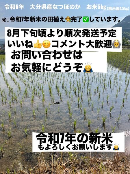 令和6年新米 大分県産なつほのかお米5㎏キロ(精米後4.5キロ) 令和7年分お問い合わせ用kida85