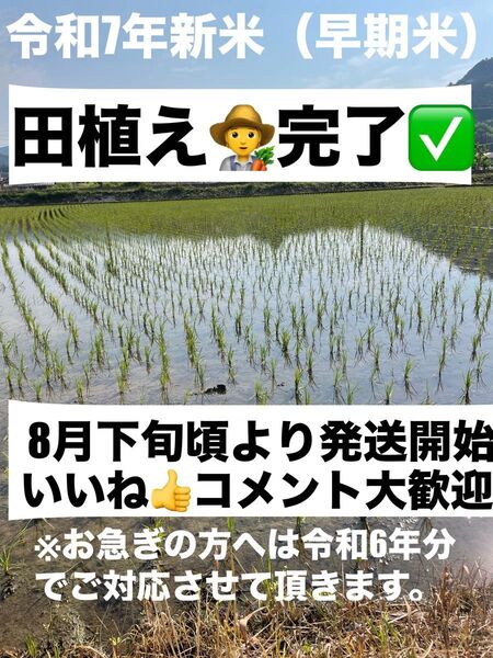 令和6年新米 大分県産なつほのかお米10㎏キロ(精米後9キロ)