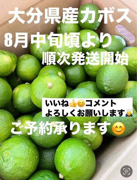 大分県産カボス