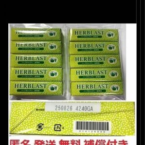 アムウェイハーブラスト抹茶お得な10本セット★最終出品★匿名発送無料