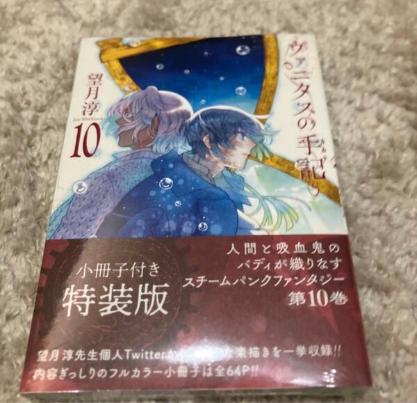 ヴァニタスの手記 10巻 特装版 未開封 レア
