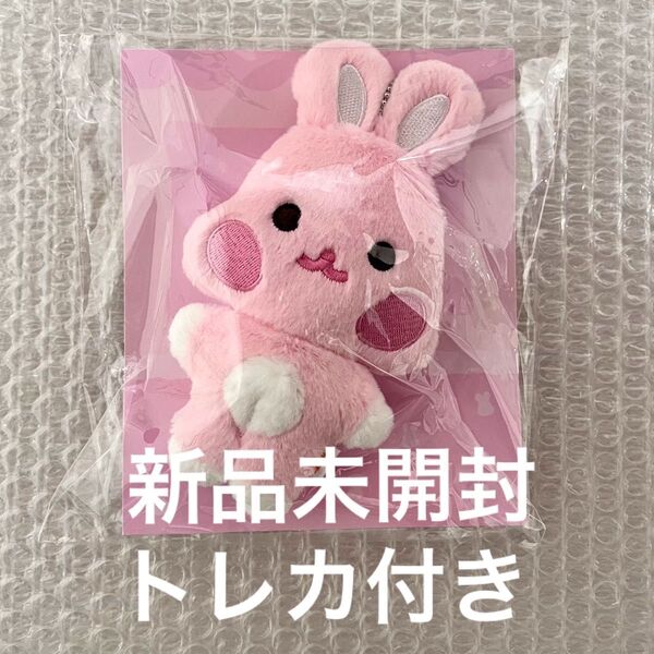 ソンファ トンビョリ ateez aniteez 新品未開封 フラットファー ぬいぐるみ トレカ プラッシュ キーリング