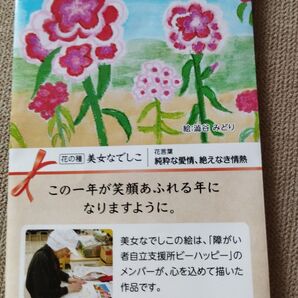 花の種 美女なでしこ