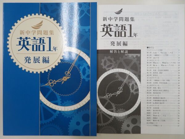 【新品・最新版】 新中学問題集 発展編 中1 数学 解答解説付き