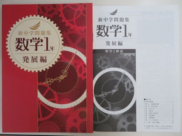 【新品・最新版】 新中学問題集 発展編 中1 数学 解答解説付き