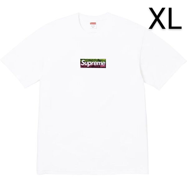 Supreme Los Angeles Fire Relief Box Logo Tee XL ロサンゼルス 限定 ボックスロゴ