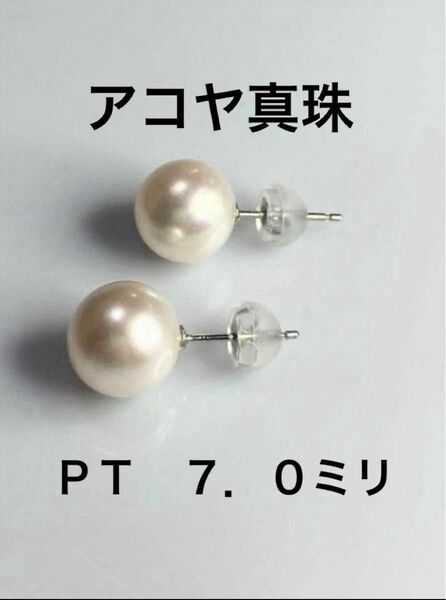 アコヤ真珠 7.0mm PTプラチナピアス