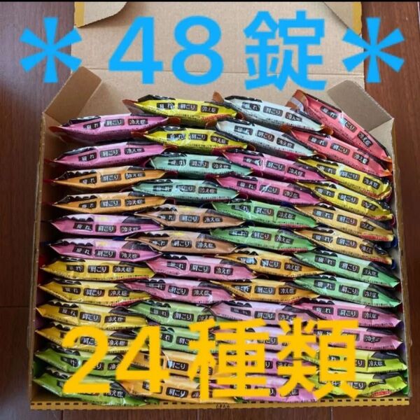 【*即購入OK*】白元アース にごり炭酸湯 24種×2 48錠
