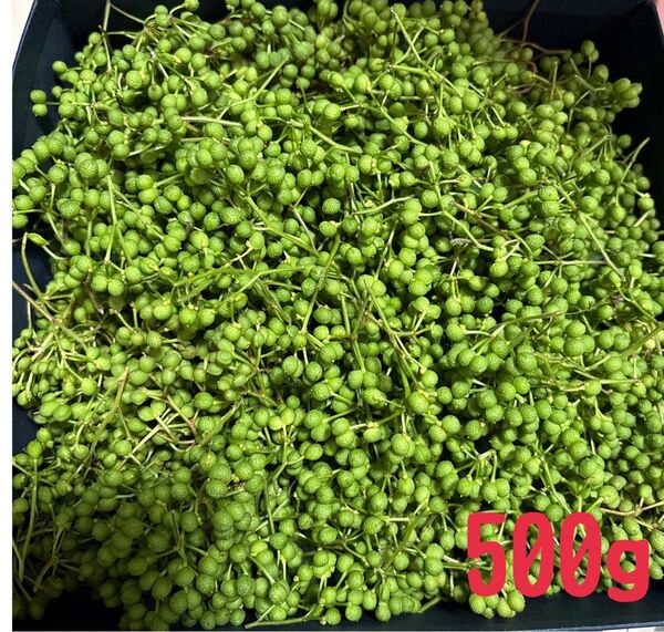 無農薬 山椒の実 500g 兵庫県産