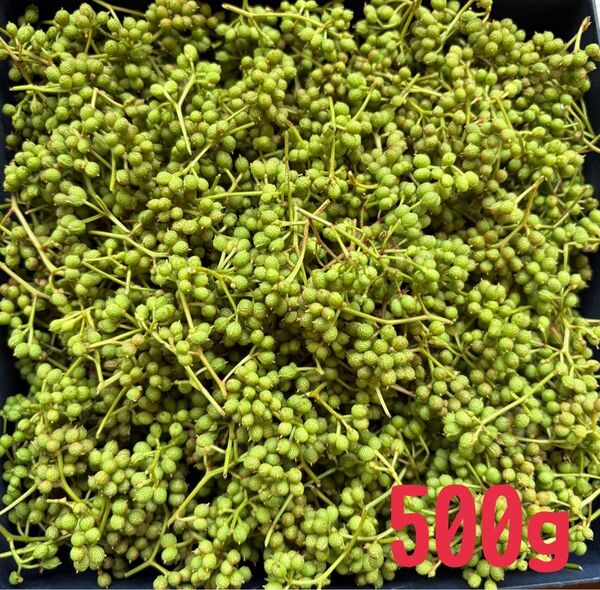 無農薬 山椒の実 500g 兵庫県産