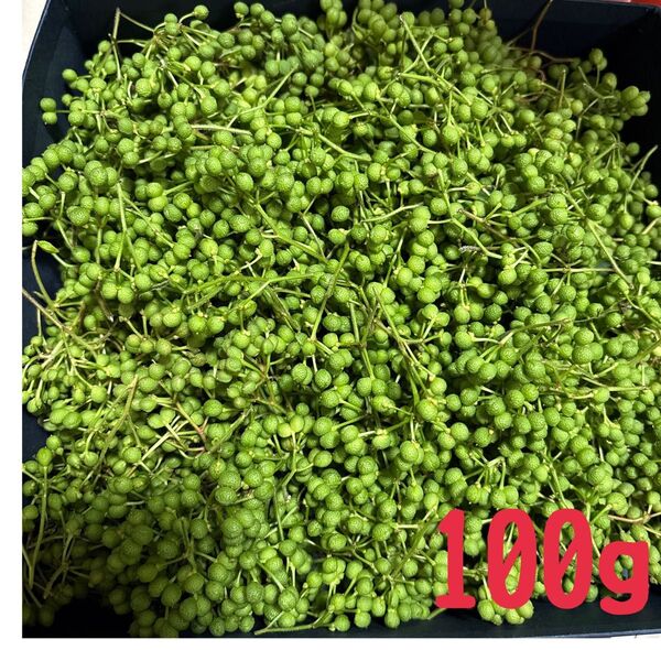 無農薬 山椒の実 100g 兵庫県産