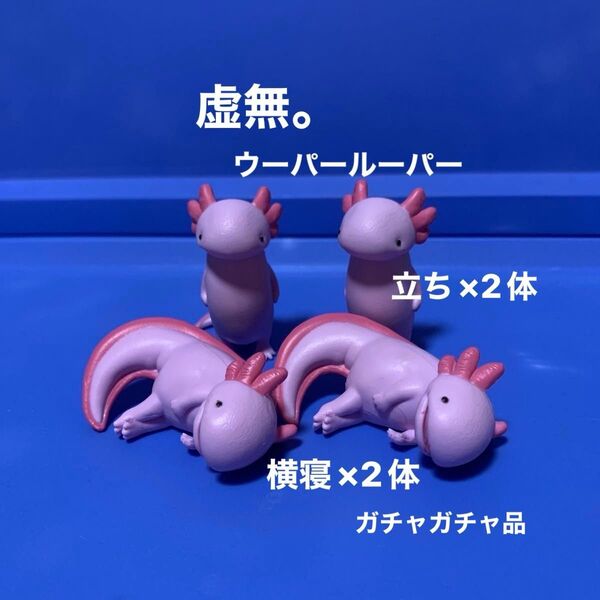 虚無。 KYOMU カプセルトイ うーぱーるーぱー フィギア ガチャガチャ 立ち×2体 横寝×2体 ウーパールーパー