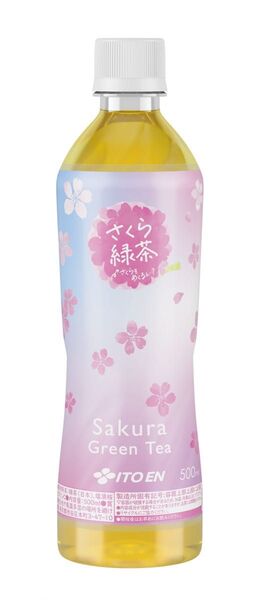 伊藤園 さくら緑茶 500ml 8本 期間限定 ペットボトル