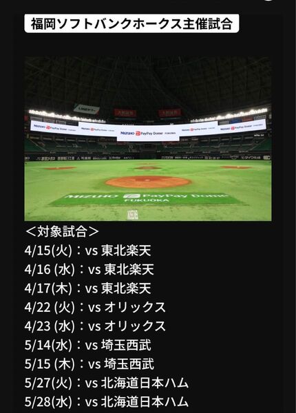 福岡ソフトバンクホークス主催試合観戦ペアチケット