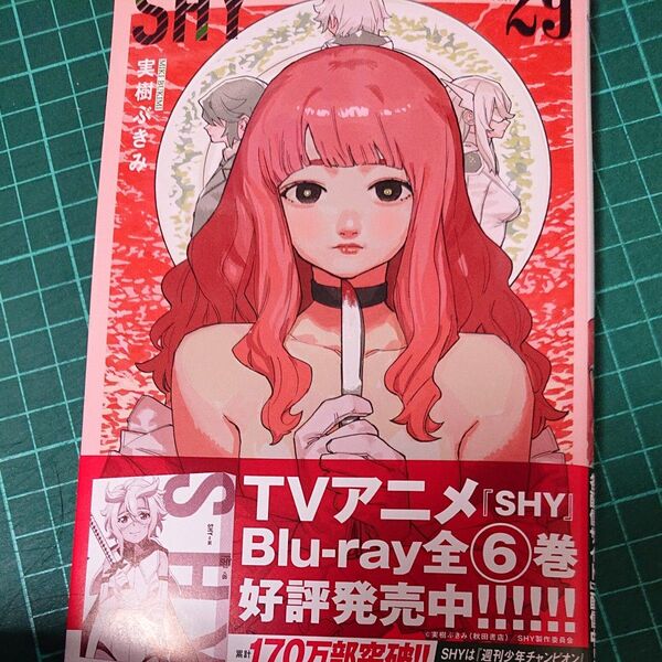 SHY 29 (SHONEN CHAMPION COMICS) 実樹ぶきみ/著
