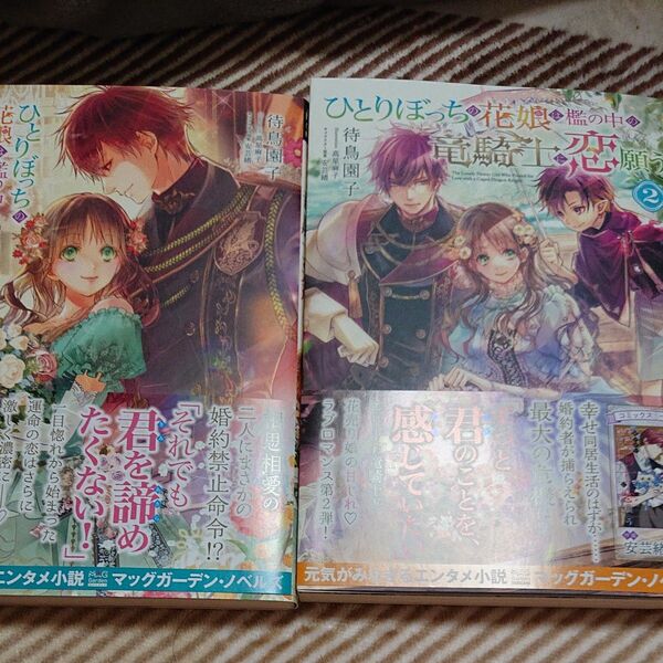 2冊セット ひとりぼっちの花娘は檻の中の竜騎士に恋願う 2 3 (MAG Garden NOVELS) 待鳥園子/著