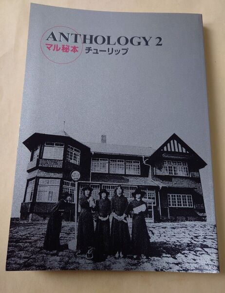 チューリップ 財津和夫 Anthology2 マル秘本 姫路達也 上田雅利 宮城伸一郎 吉田彰 伊藤薫