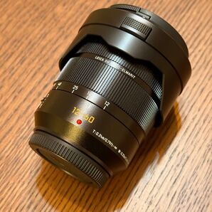 Panasonic LUMIX LEICA DG VARIO-ELMARIT 12-60mm / F2.8-4.0