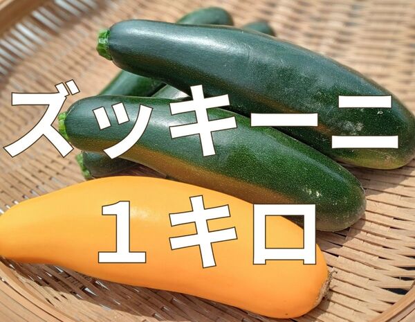 ズッキーニ◯西葫芦◯1キロ◯長崎県産