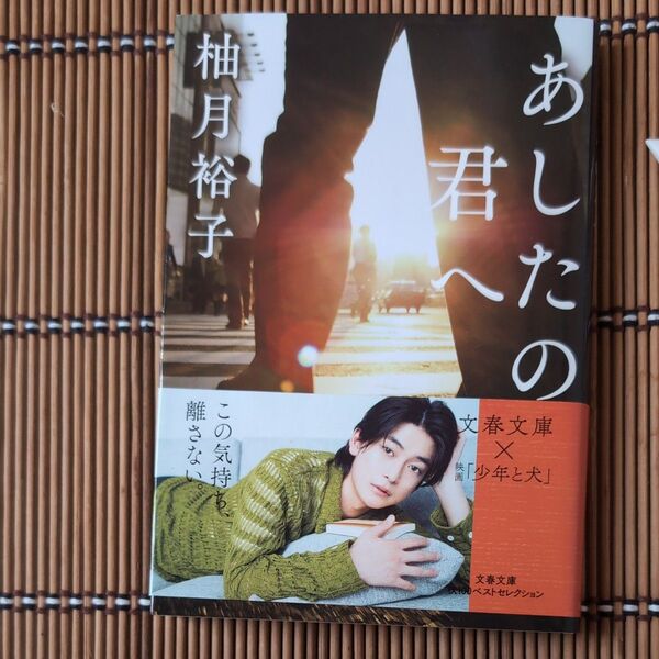 あしたの君へ (文春文庫 ゆ13-1) 柚月裕子/著