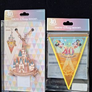 TDR 40周年 バッグチャーム ガーランド