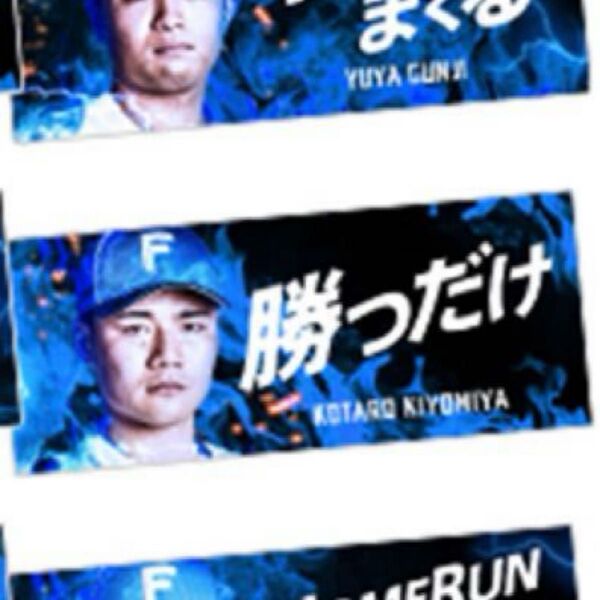 北海道日本ハムファイターズ 配布 エスコンフィールドHOKKAIDO メッセージタオル 清宮幸太郎