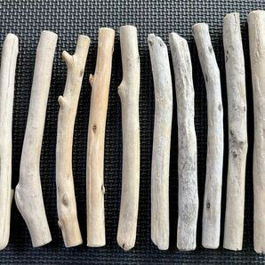 517☆流木 17〜19センチ ハンドメイド マクラメ 工作 シーアート パーツ