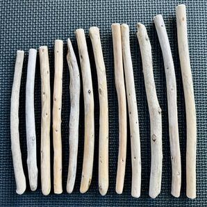 516☆ 流木 16〜22センチ ハンドメイド マクラメ タペストリー 工作材料
