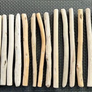 514☆ 流木 14〜15.5センチ ハンドメイド シーアート パーツ 材料工作