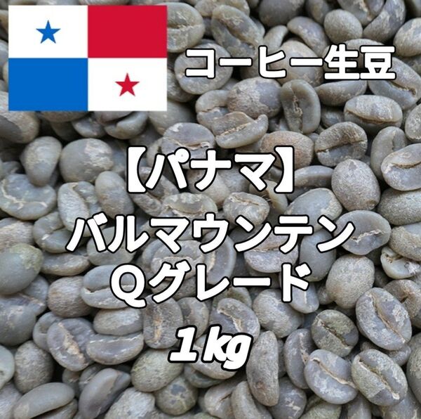 【パナマ】バルマウンテン Qグレード コーヒー生豆1kg(コーヒー生豆 自家焙煎 コーヒー豆 コーヒー 珈琲)