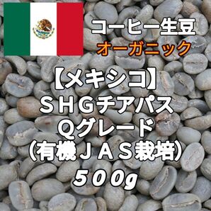 【メキシコ】SHGチアパス Qグレード コーヒー生豆 500g(コーヒー生豆 自家焙煎 コーヒー豆 コーヒー 珈琲)