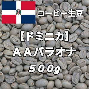 【ドミニカ】AAバラオナ コーヒー生豆500g(自家焙煎 コーヒー豆)