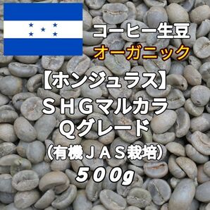 【ホンジュラス】SHGマルカラ Qグレード コーヒー生豆500g(コーヒー生豆 自家焙煎 コーヒー豆 コーヒー 珈琲)