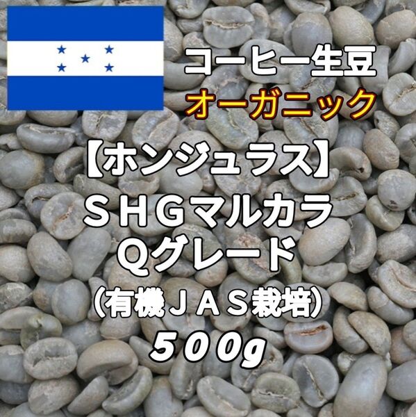 【ホンジュラス】SHGマルカラ Qグレード コーヒー生豆500g(コーヒー生豆 自家焙煎 コーヒー豆 コーヒー 珈琲)
