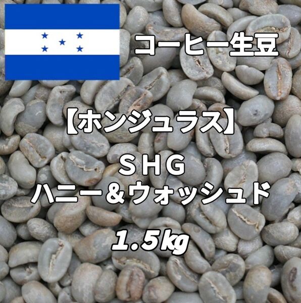 【ホンジュラス】ハニー&ウォッシュド コーヒー生豆 1.5kg(コーヒー生豆 自家焙煎 コーヒー豆 コーヒー 珈琲)