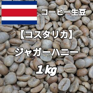 【コスタリカ】ジャガーハニー コーヒー生豆1kg(コーヒー生豆 自家焙煎 コーヒー豆 コーヒー 珈琲)
