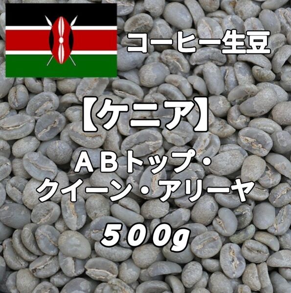 【ケニア】ABトップ・クイーン・アリーヤ コーヒー生豆500g(コーヒー生豆 自家焙煎 コーヒー豆 コーヒー 珈琲)