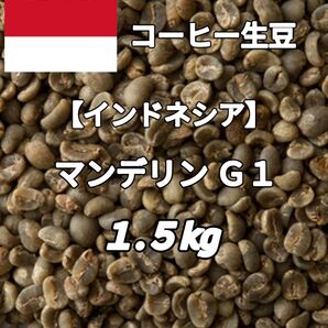 【インドネシア】マンデリン G1 コーヒー生豆 1.5kg(コーヒー生豆 自家焙煎 コーヒー豆 コーヒー 珈琲)
