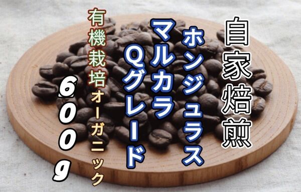 【ホンジュラス】SHGマルカラ Qグレード 自家焙煎コーヒー豆 600g(自家焙煎 コーヒー豆 珈琲)
