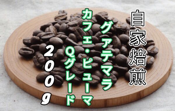 【グァテマラ】SHBカフェ・ピューマ Qグレード 自家焙煎コーヒー豆200g(自家焙煎 コーヒー豆 珈琲)