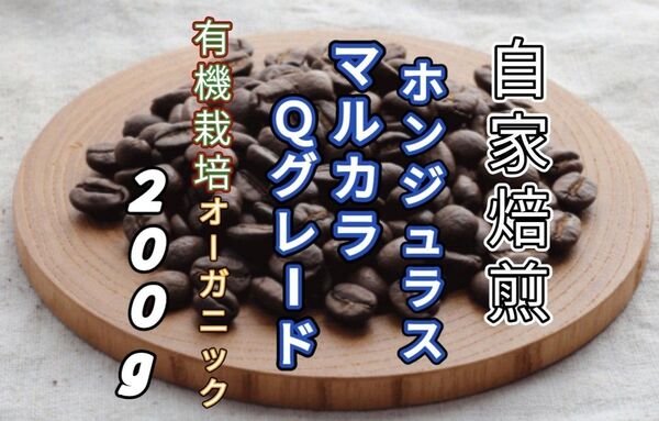 【ホンジュラス】SHGマルカラ Qグレード 自家焙煎コーヒー豆 200g(自家焙煎 コーヒー豆 コーヒー )