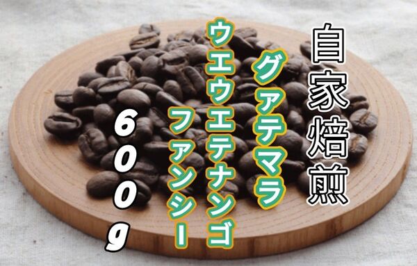 【グァテマラ】ウエウエテナンゴ・ファンシーS17 自家焙煎コーヒー豆 600g(自家焙煎 コーヒー豆 コーヒー )