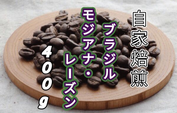 【ブラジル】モジアナ・レーズン 自家焙煎コーヒー豆 400g(自家焙煎 コーヒー豆 コーヒー )