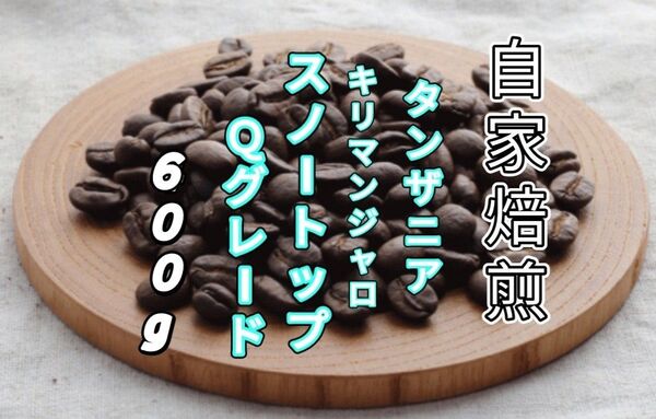 【タンザニア】AAスノートップ Qグレード 自家焙煎コーヒー豆 600g(自家焙煎 コーヒー豆 コーヒー)